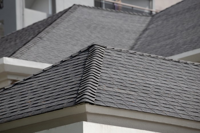 Asphalt Shingles 101: Your Guide to a Durable, Affordable Roof Asphalt Shingles 101: Your Guide to a Durable, Affordable Roof