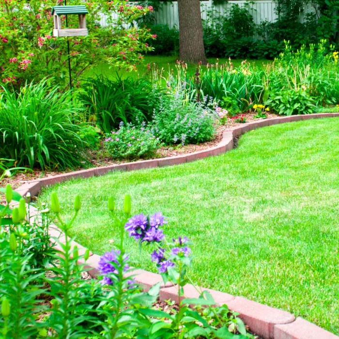 15+ Backyard Landscaping Ideas on a Budget That You NEED to Know ... 15+ Backyard Landscaping Ideas on a Budget That You NEED to Know ...